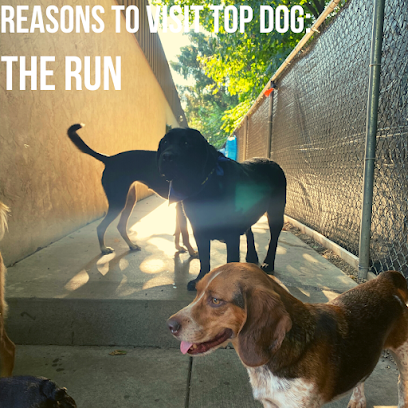 Boop Canine & Top Dog