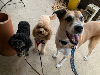 Le Pooch Dog Walking & Pet Sitting