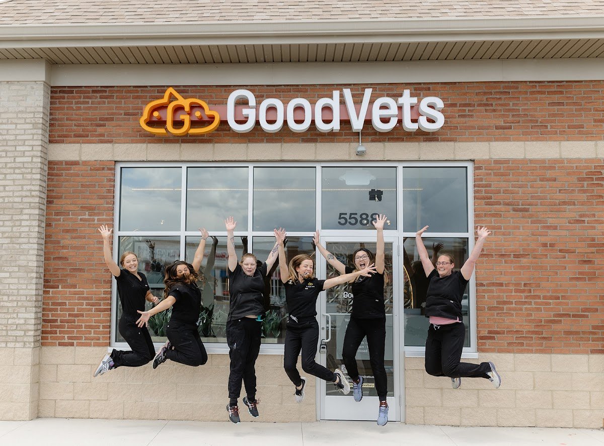 GoodVets New Albany - Photo 2