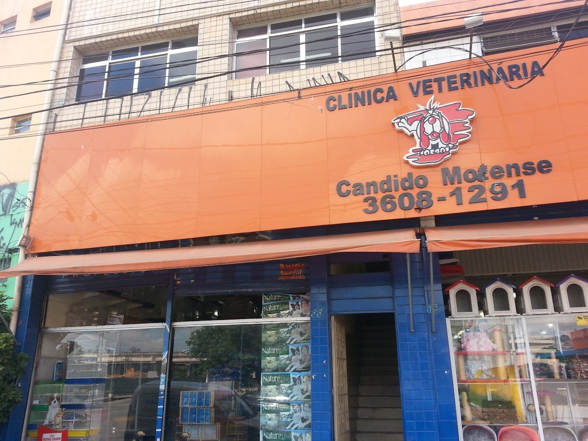 Pet Shop Candido's Motense - Pet Shop em Osasco