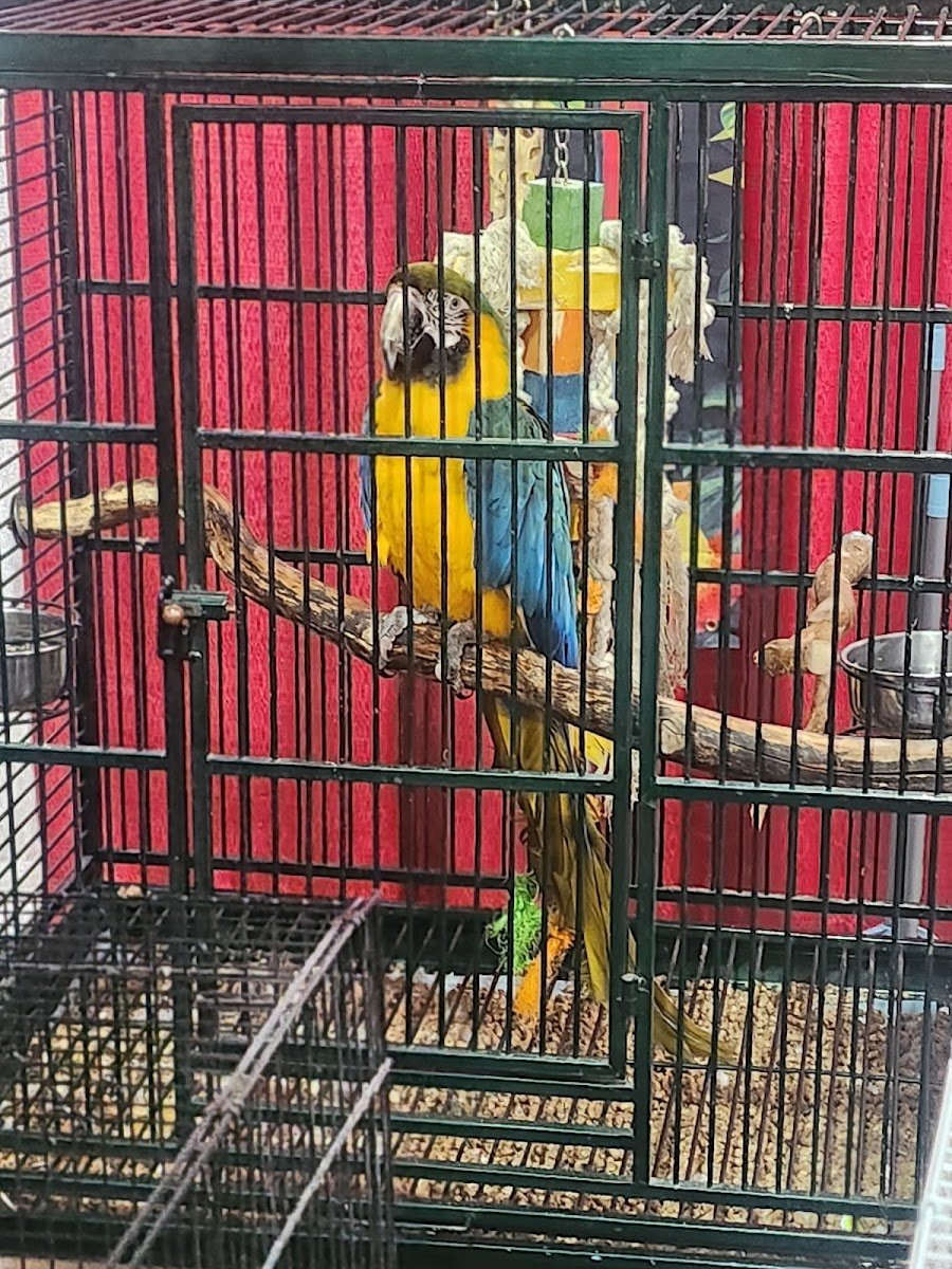 Columbus Pet Expo - Photo 2