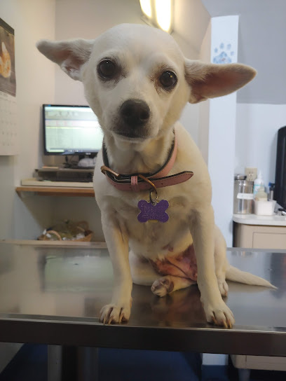 Whitehall Animal Hospital Inc - Pet Shop in Columbus