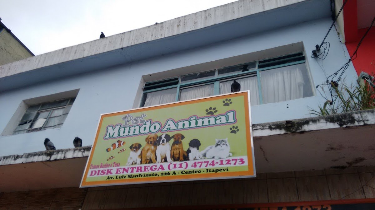 Pet Mundo Animal