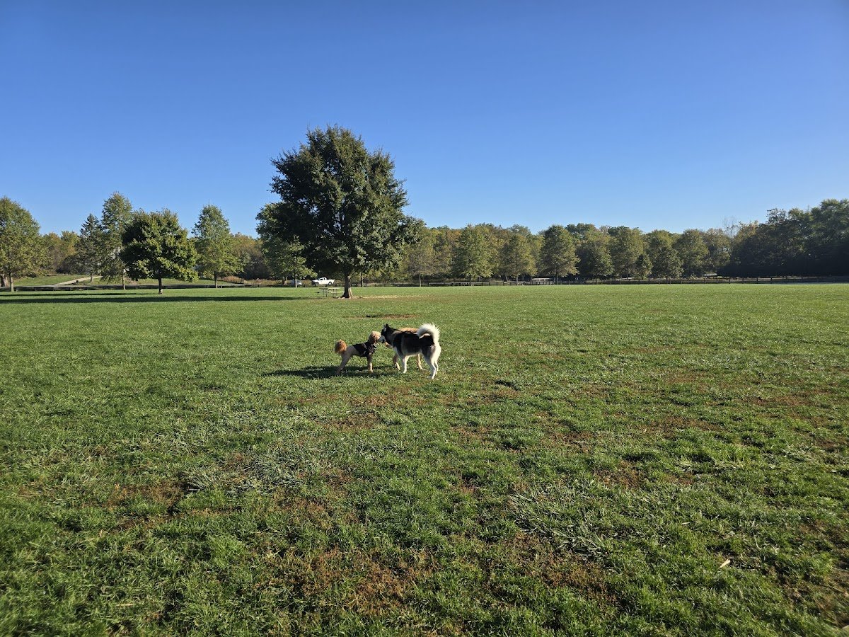 Three Creeks Park Dog Park - Photo 2