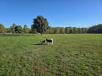 Three Creeks Park Dog Park - Pet Shop in Columbus