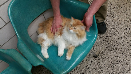 Oakland Park Animal Hospital, LLC - Pet Shop in Columbus