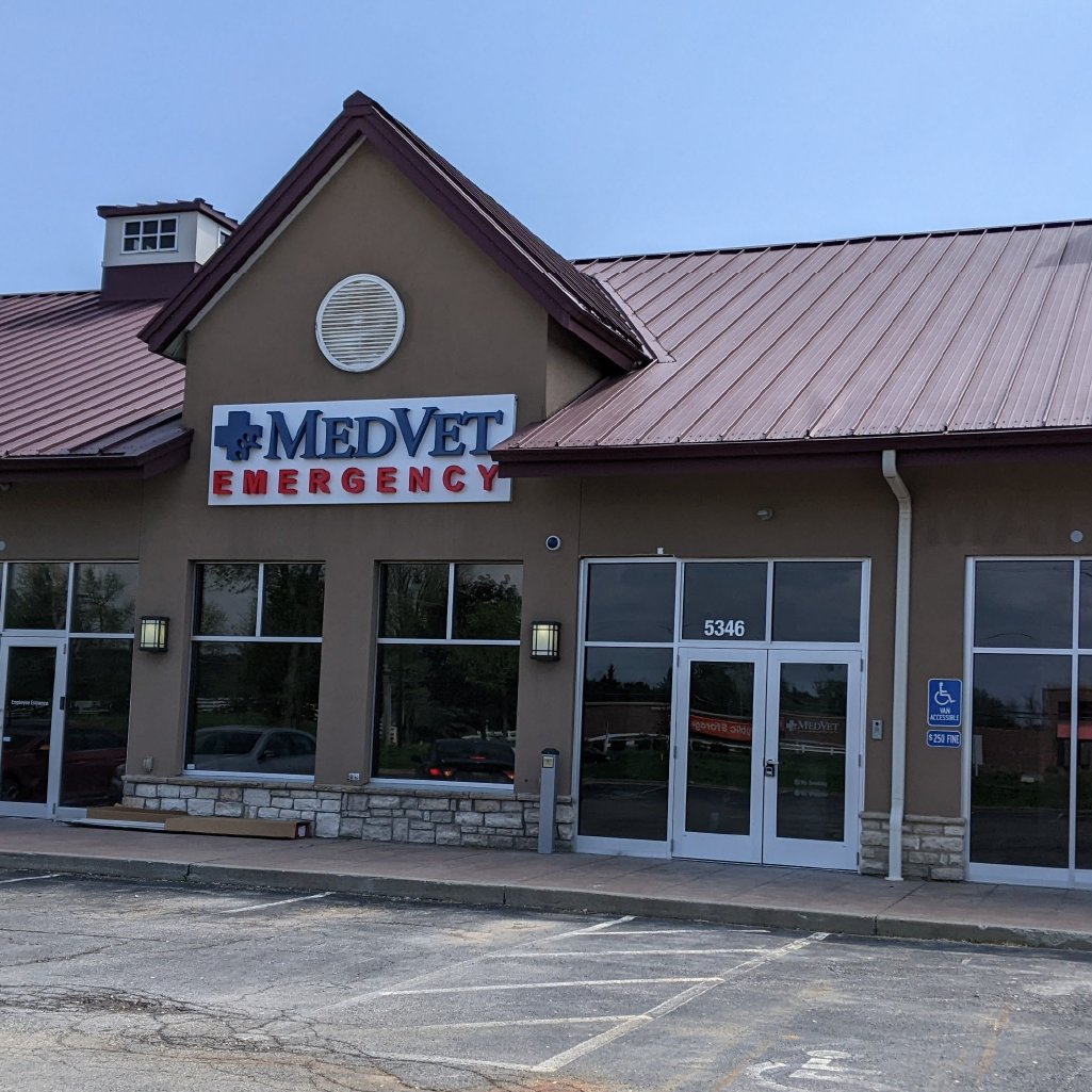 MedVet New Albany - Photo 2
