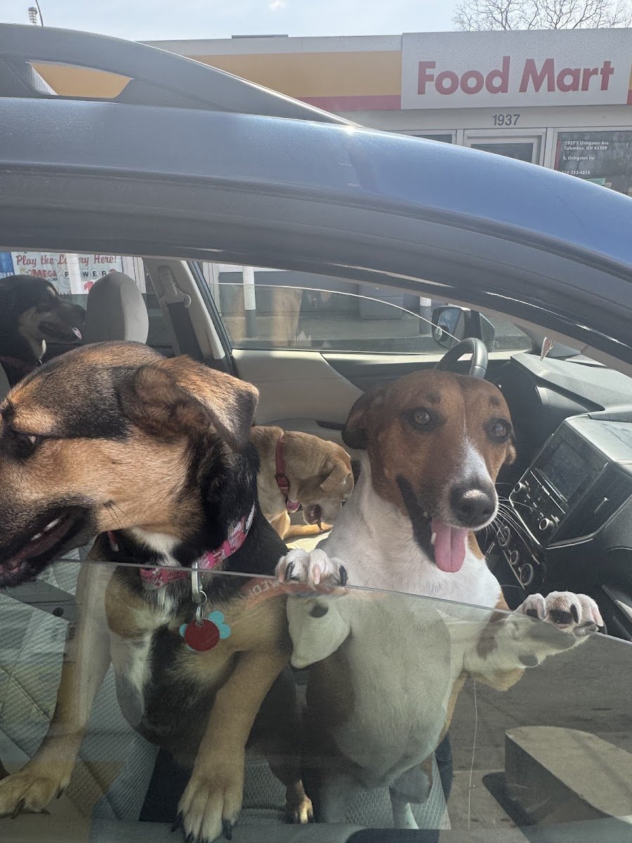 Animal Home LLC - Photo 2