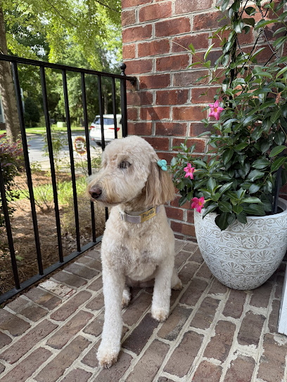 Woof Gang Bakery & Grooming Dilworth