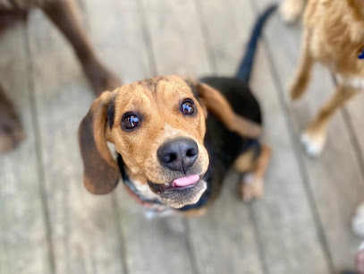 Heads or Tails Pet Care - Pet Shop in Charlotte