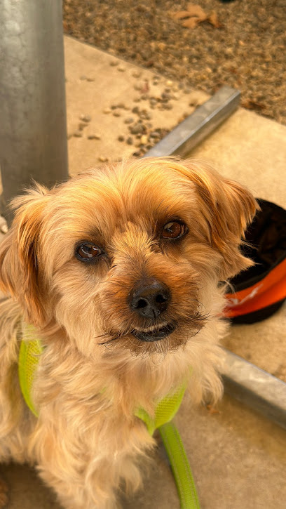 Central Providence Veterinary Hospital