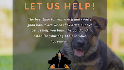 Through The Leash Dog Behavior & Training