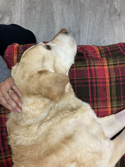 Mallard Creek Animal Hospital: Johnson Rebecca DVM