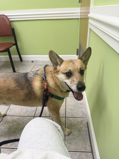 Pineville Animal Clinic