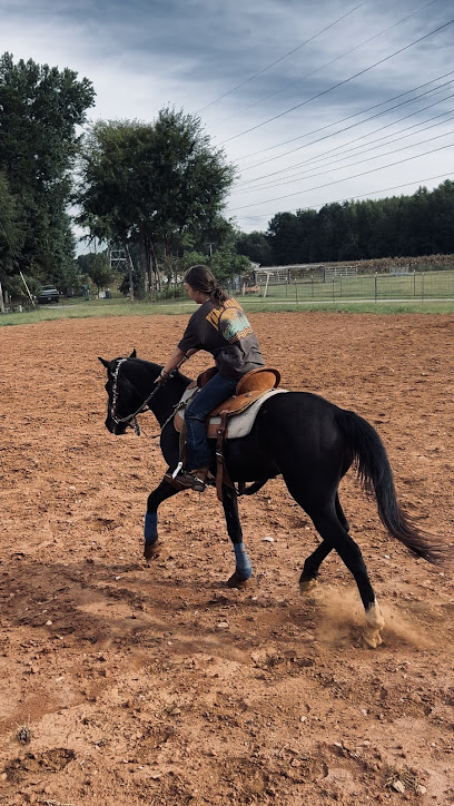 The Dam Ranch Horse Boarding