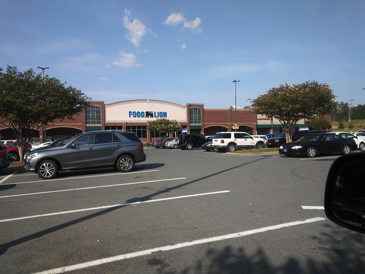 Food Lion - Photo 3