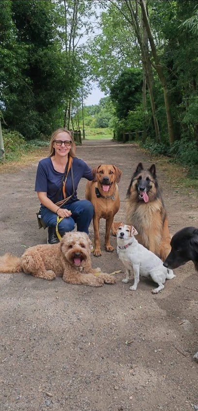 London Dog House