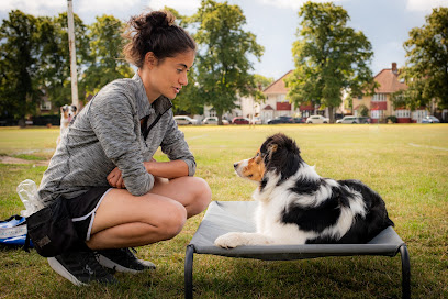 Kes and Koro Dog Agility