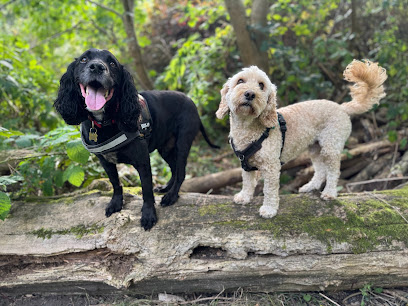 MudMutts Dog Walking & Boarding