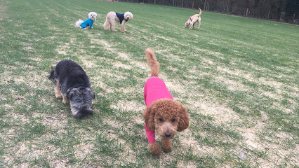 Charlie Bears Doggy Daycare