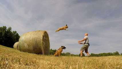 Highland Canine Training - Charlotte
