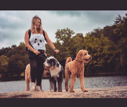 Costner Canine Training