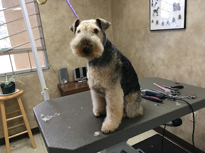 Canine Carousel of South Park