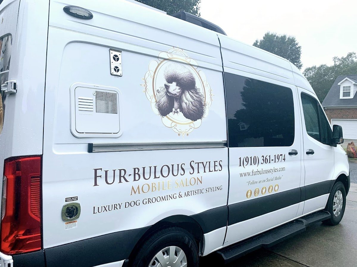 Fur-bulous Styles - Photo 2
