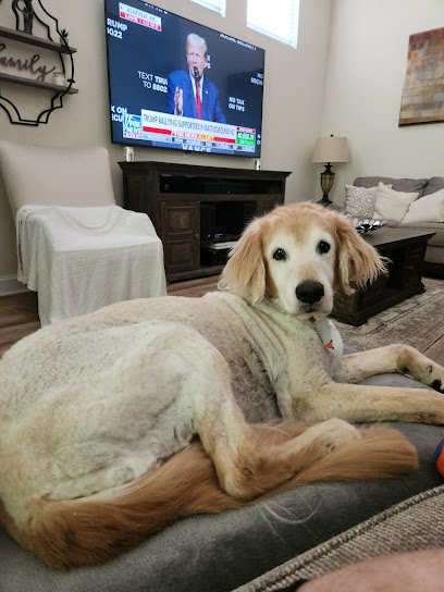 Bubbles N Bows Mobile Grooming by Jamie