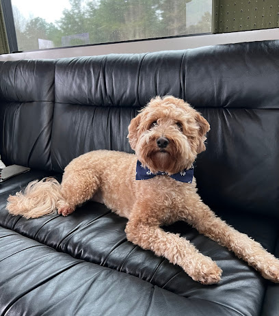 Pure Energy Dog Training