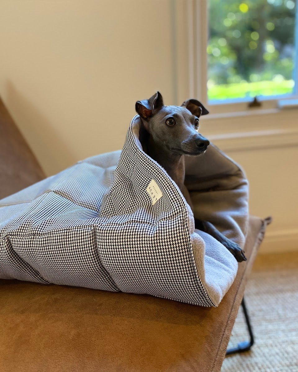 LÈ PUP - Photo 2