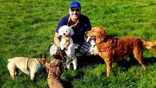Nice Dogs UK - Photo 2