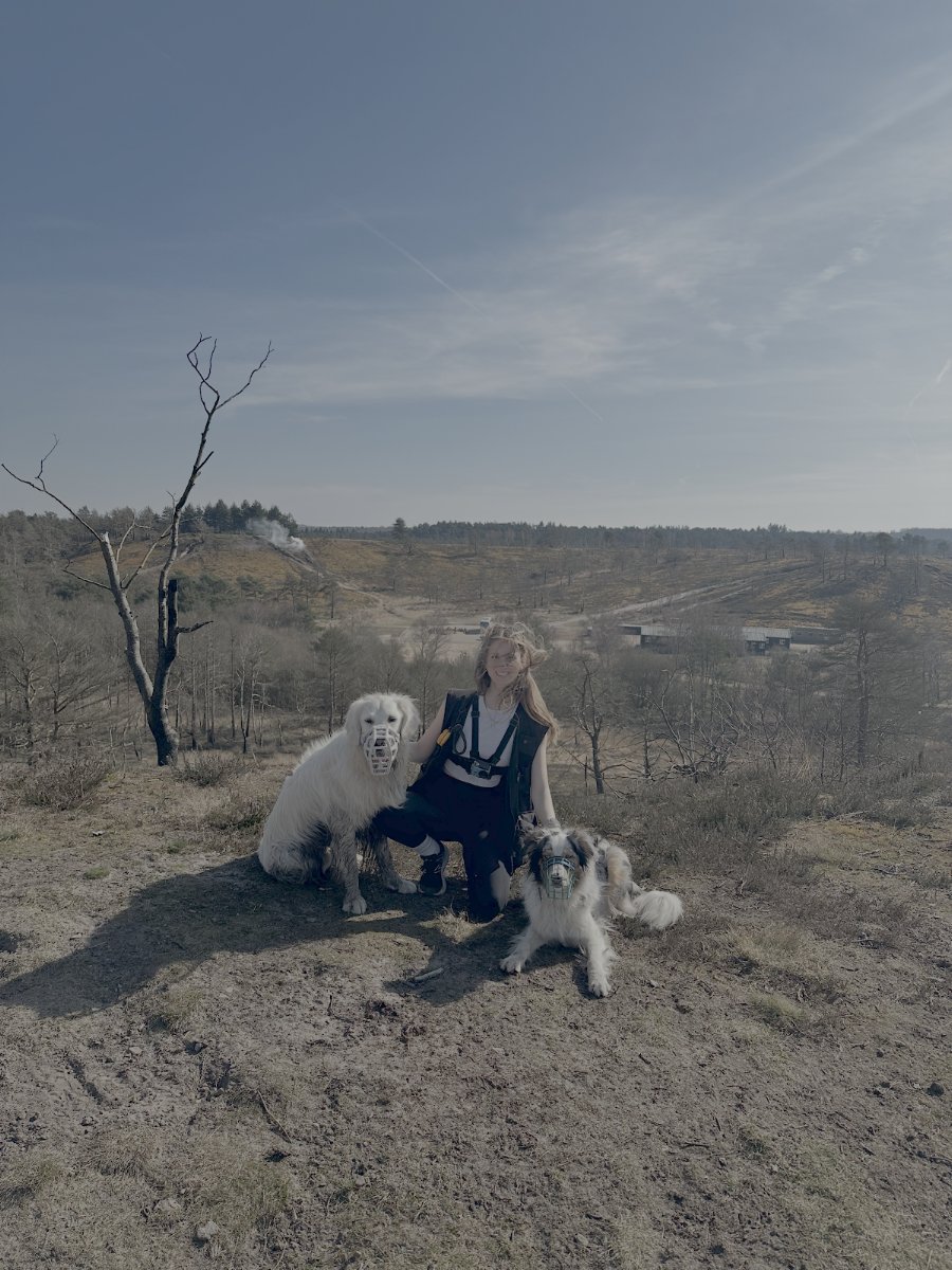 C&J Canines - Photo 2