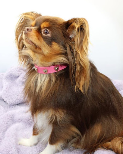 Madreperla Milano Pets Boutique