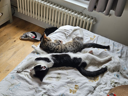 Celia Hammond Animal Trust