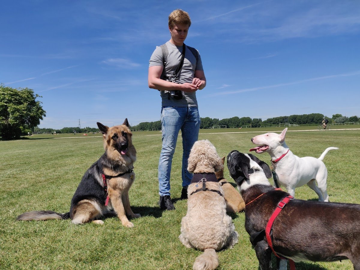 Clarke's K9's - Hackney - Photo 2