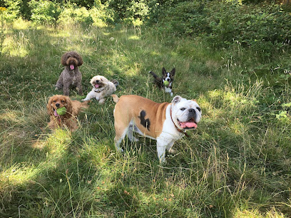 Langley Dog Walking & Boarding - Pet Shop in London