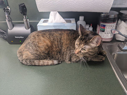 Little Mountain Veterinary Clinic