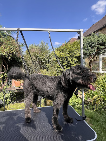 Pet City & Mobile Grooming at Pet City