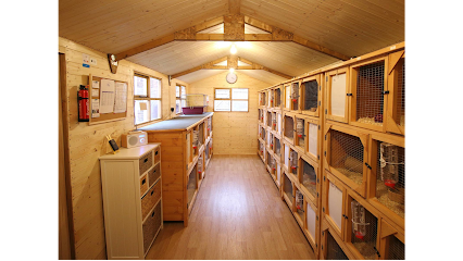 Now Boarding Pet Hotels