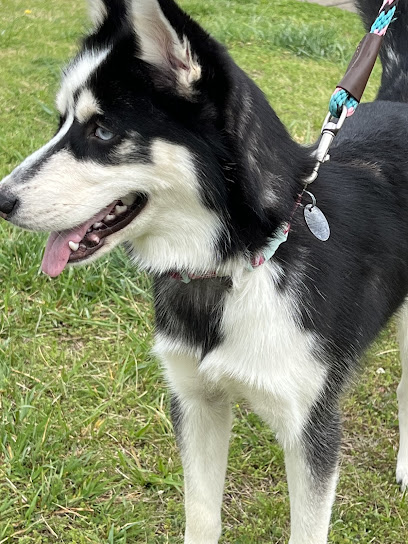 Tranquility Sanctuary