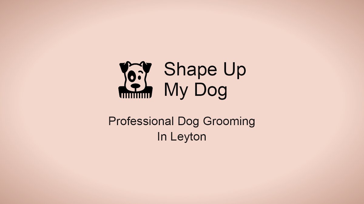 Shape Up My Dog - Photo 2
