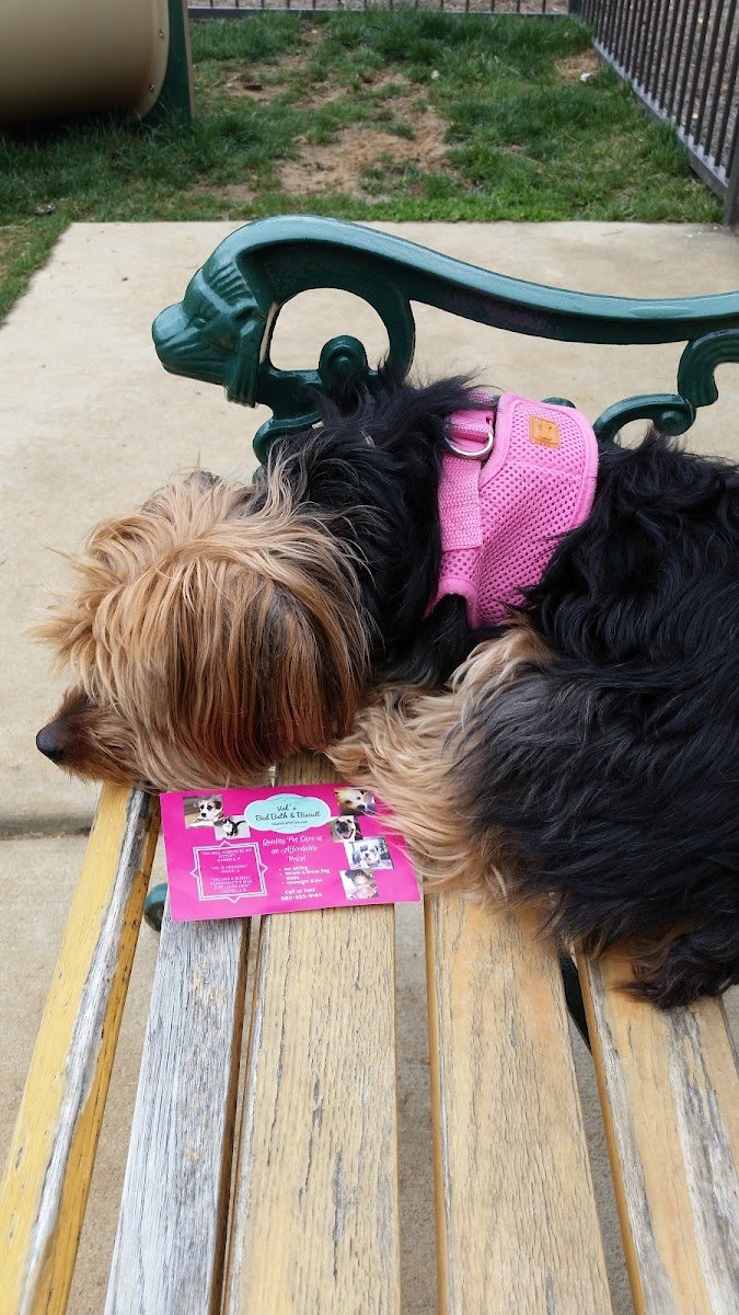 Val's Bed, Bath & Biscuit - Photo 2