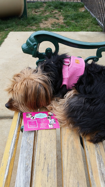 Val's Bed, Bath & Biscuit - Pet Shop in Charlotte