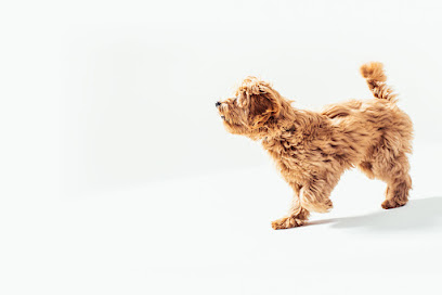 Finsbury Bark - Pet Shop in London