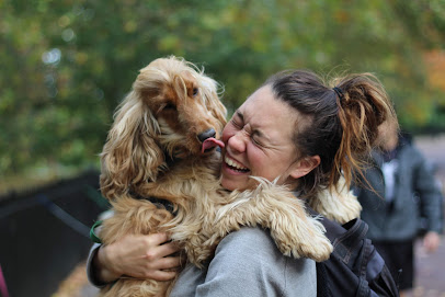 Green Dog Walking & Countryside Daycare - Pet Shop in London