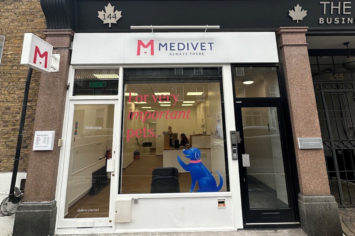 Medivet Islington Liverpool Rd - Photo 2