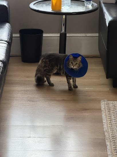 Mill Lane Veterinary Surgery