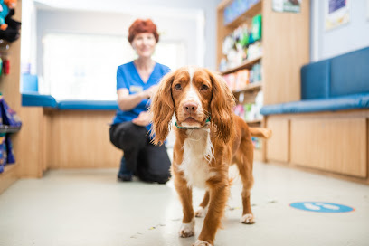 Norwood Road Veterinary Surgery - Pet Shop in London