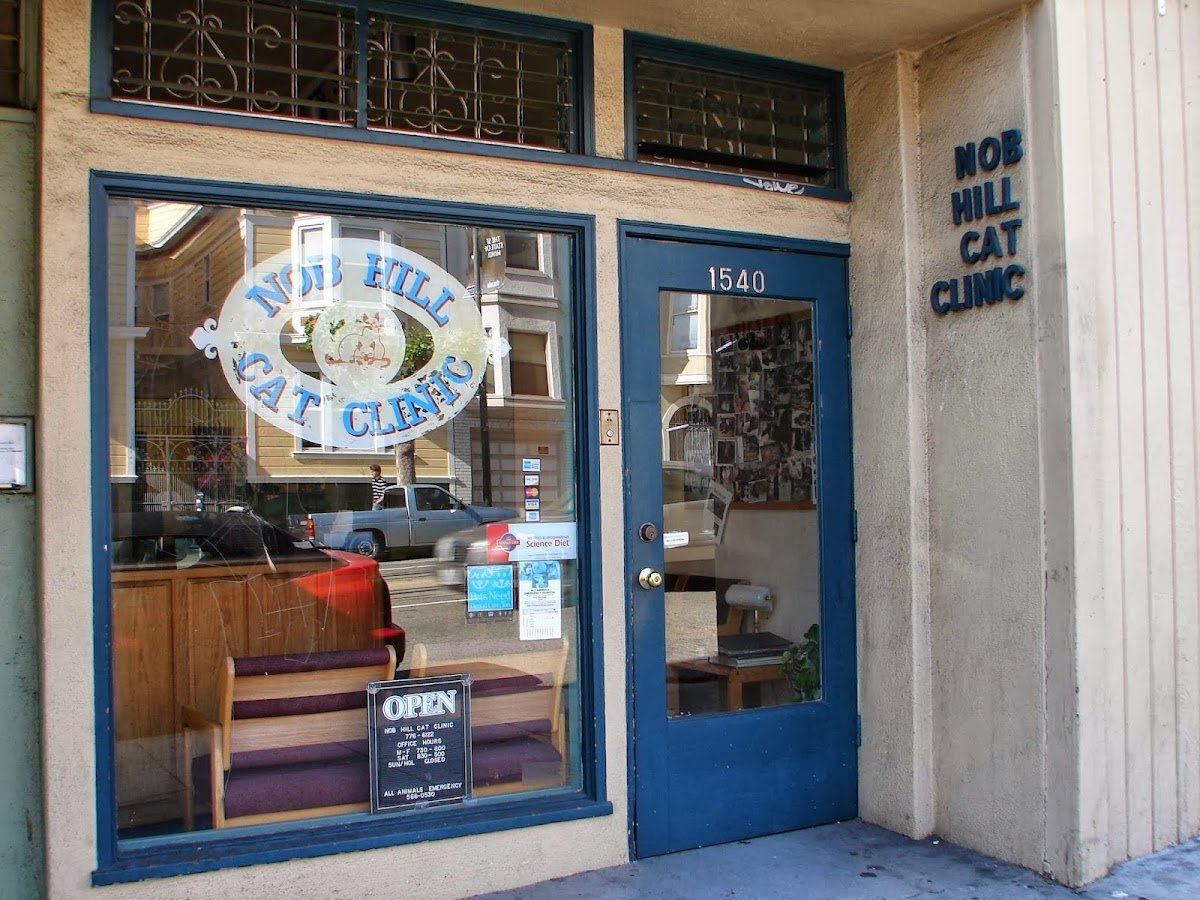 Nob Hill Cat Clinic - Photo 2